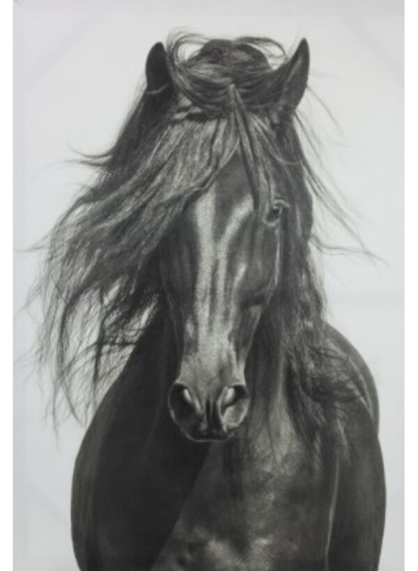 black-horse-print